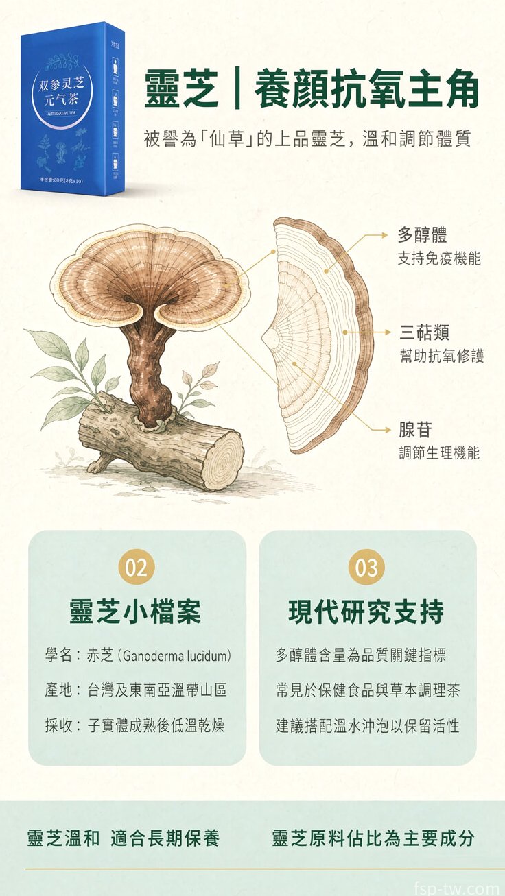 雙參靈芝元氣茶產品介紹